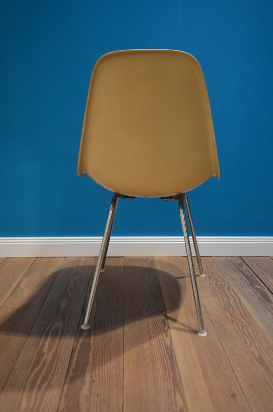 Image 1 of Glasvezel stoel Dsx Charles & Ray Eames Herman Miller jaren 50