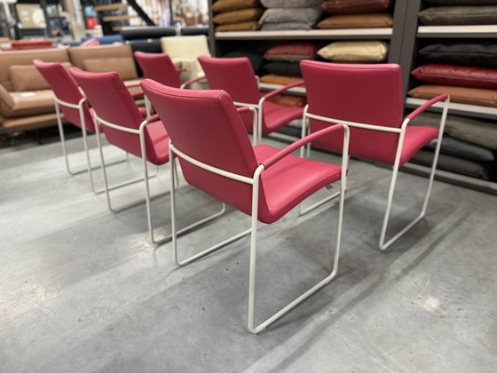 Image 1 of 6 Leolux Talos eetkamerstoelen roze leer