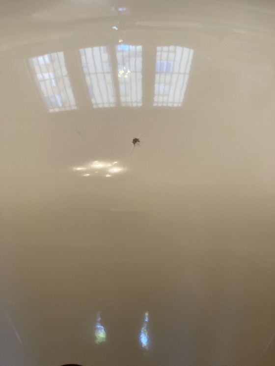 Image 1 of Paar fauteuils toegeschreven aan Joe Colombo jaren 60-70. In zeer goede staat.