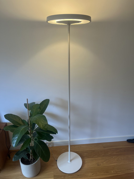 Image 1 of Belux Disk Daniel Kübler vloerlamp