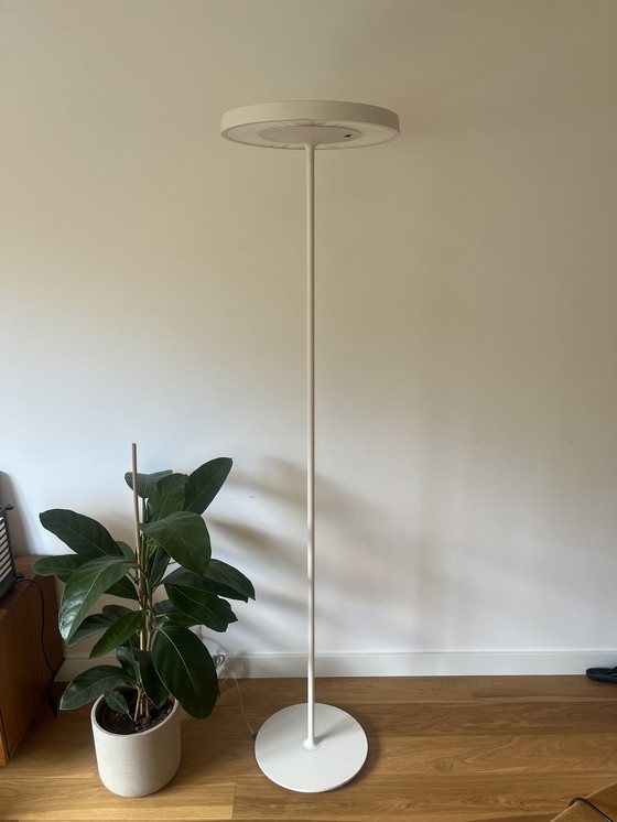 Image 1 of Belux Disk Daniel Kübler vloerlamp