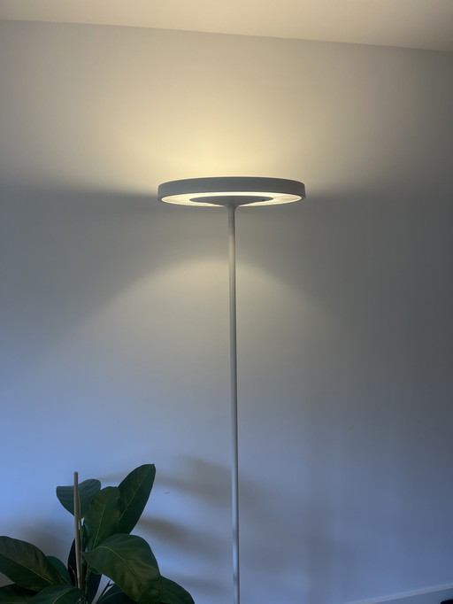 Belux Disk Daniel Kübler vloerlamp