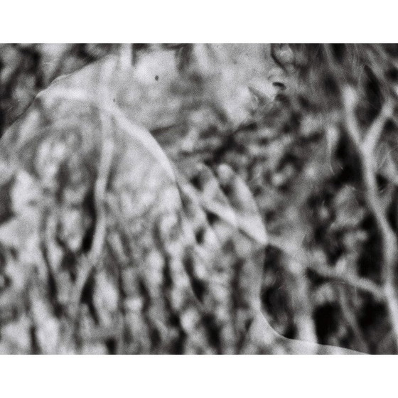 Image 1 of Vintage schilderij Natural Movements 14 door Meïdhy Bichon, 2019