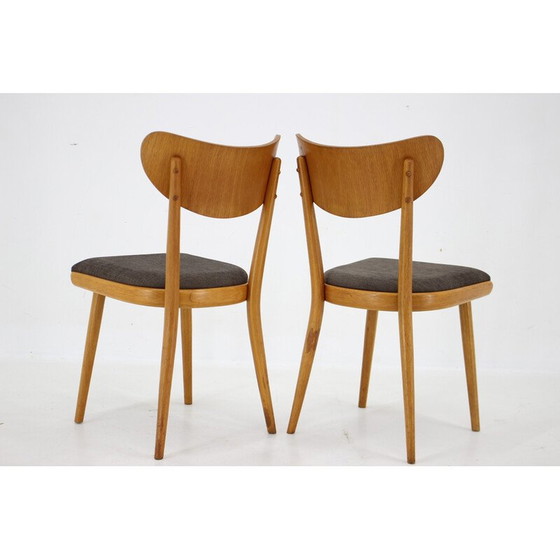 Image 1 of Set van 4 vintage stoelen, Tsjecho-Slowakije 1950