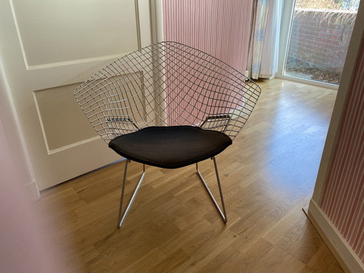 Knoll Harry Bertoia draadstoelen