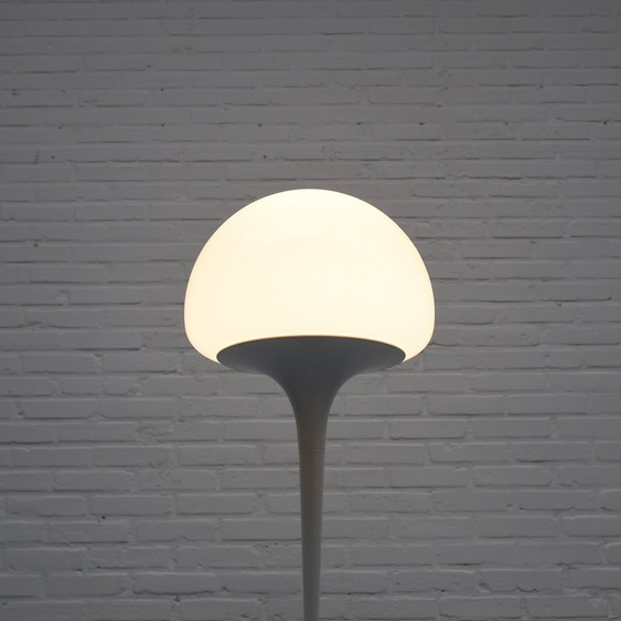 Image 1 of Goffredo Reggiani Vloerlamp '70S