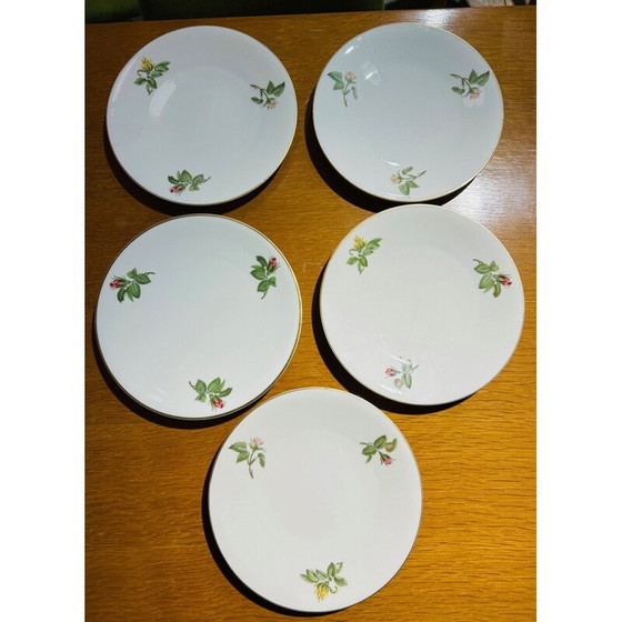 Lot van 10 vintage borden door Théodore Haviland voor La Porcelaine de Paris, Frankrijk 1960 (photo 9 of 10)