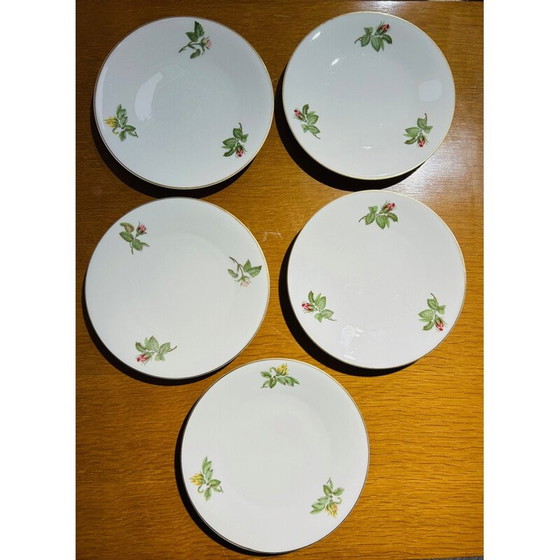 Lot van 10 vintage borden door Théodore Haviland voor La Porcelaine de Paris, Frankrijk 1960 (photo 8 of 10)