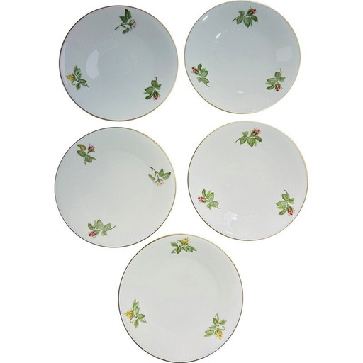 Lot van 10 vintage borden door Théodore Haviland voor La Porcelaine de Paris, Frankrijk 1960