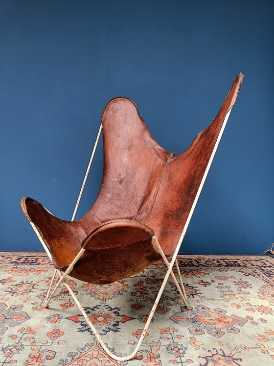 Image 1 of Vintage Butterfly Fauteuil