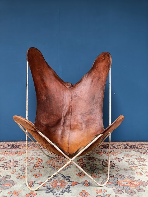 Image 1 of Vintage Butterfly Fauteuil