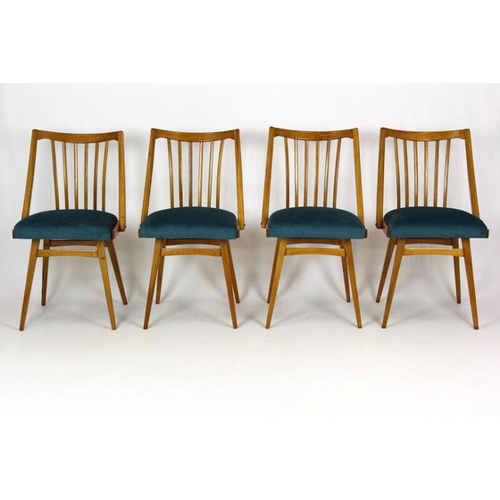 Image 1 of Set van 4 vintage eiken eetkamerstoelen voor Interier Praha, 1960