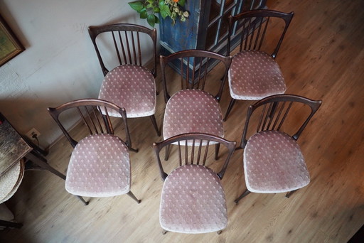 6 Stevens Stoelen