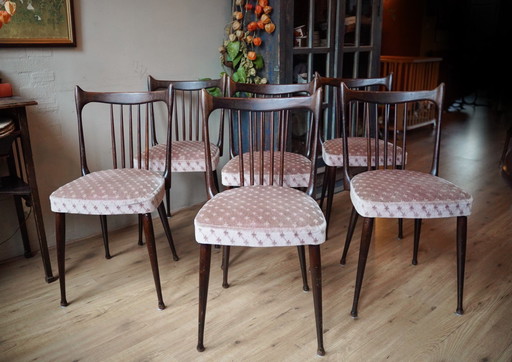 6 Stevens Stoelen