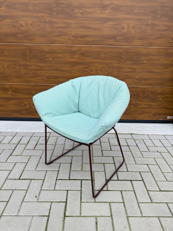 Image 1 of 6 Label Vandenberg Duke Outdoor Stoelen
