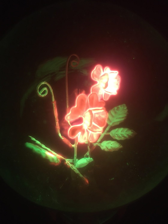 Image 1 of Aerolux gasontladingslamp met bloemen en blaadjes