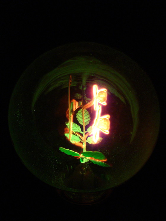 Image 1 of Aerolux gasontladingslamp met bloemen en blaadjes