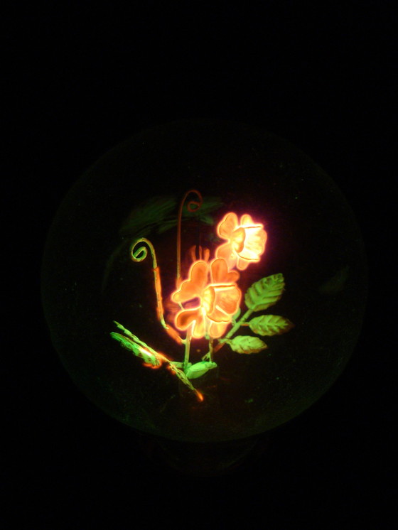 Image 1 of Aerolux gasontladingslamp met bloemen en blaadjes