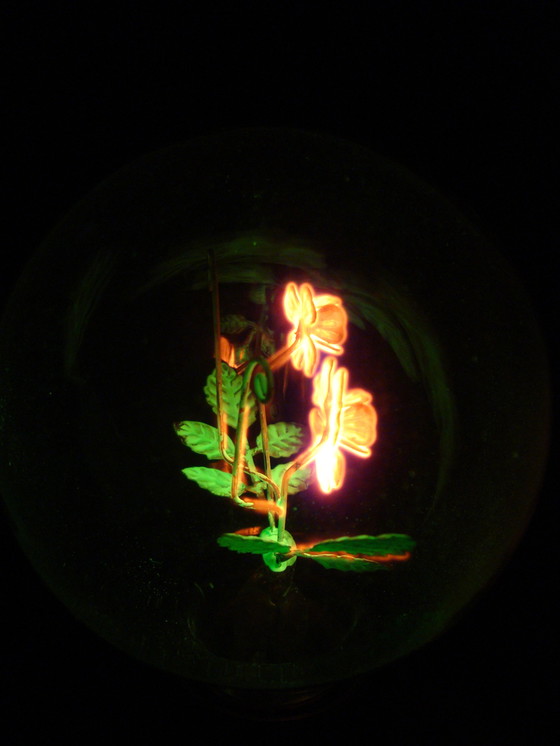 Image 1 of Aerolux gasontladingslamp met bloemen en blaadjes