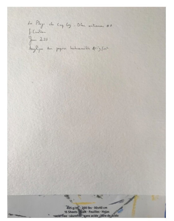 Image 1 of Cap Coz. Acryl van Frédéric Cadiou