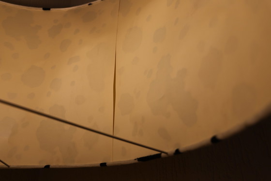 Image 1 of Extra Big Shadow Cappellini Cow Fabric by Marcel Wanders