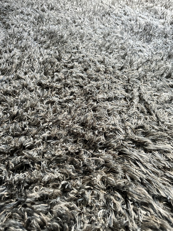 Image 1 of Carpet Sauvage Van Cs Rugs