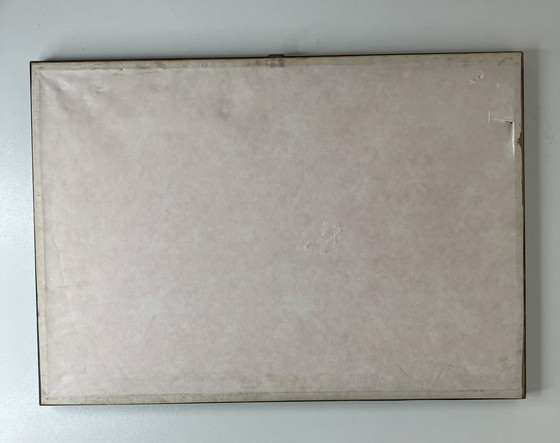 Image 1 of Gesigneerde En Genummerde Gravure Van "Ex Ambulatorio Rossi"