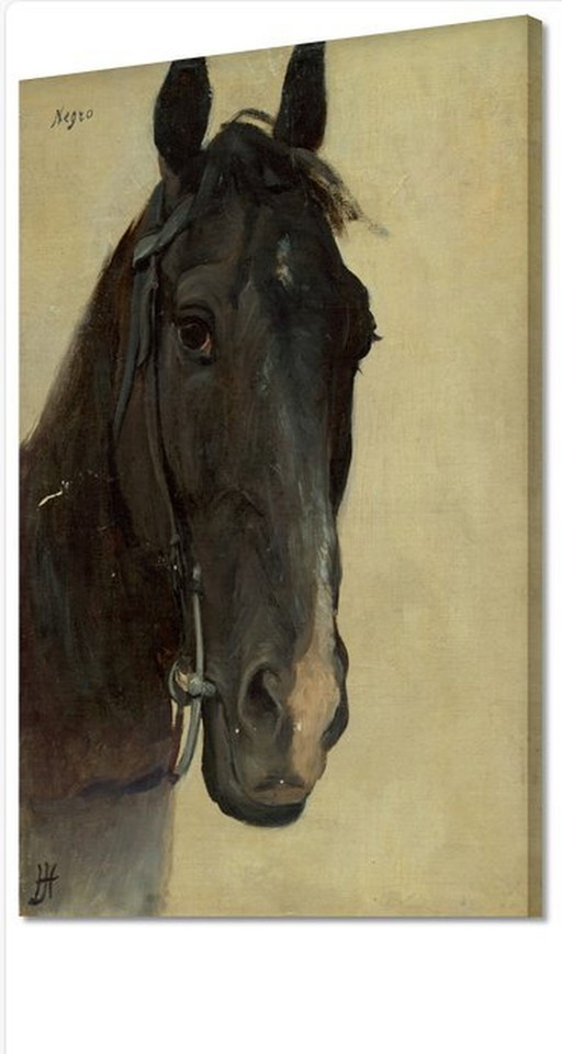 Jozef Hanula ---- Paard