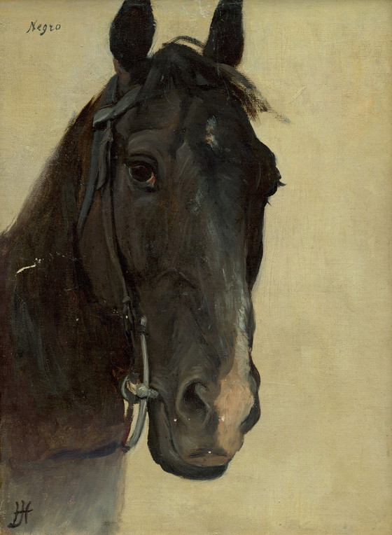 Image 1 of Jozef Hanula ---- Paard