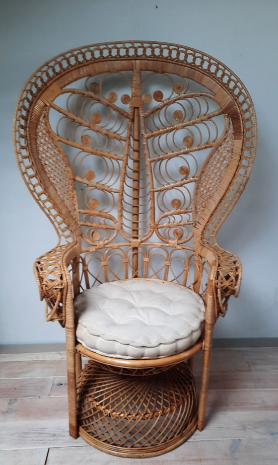 Image 1 of pauwenstoel - peacock chair