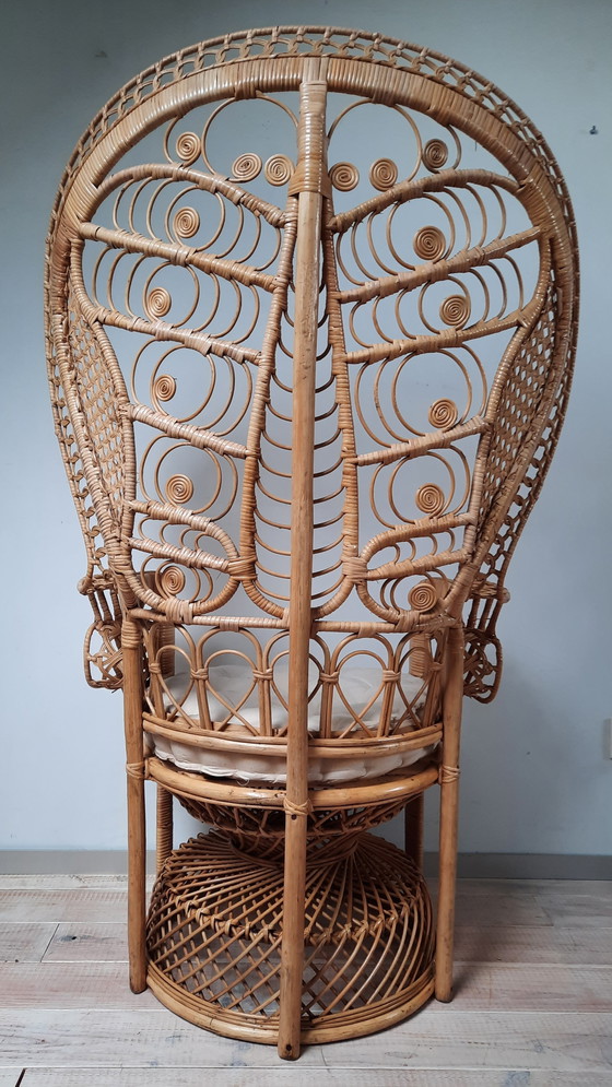 Image 1 of pauwenstoel - peacock chair