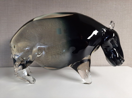 Image 1 of Oscar Zanetti nijlpaard/hippo