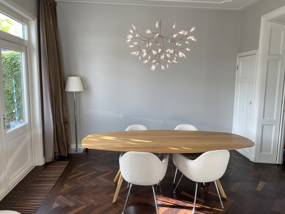 Image 1 of Moooi Heracleum II Hanglamp Koper Large