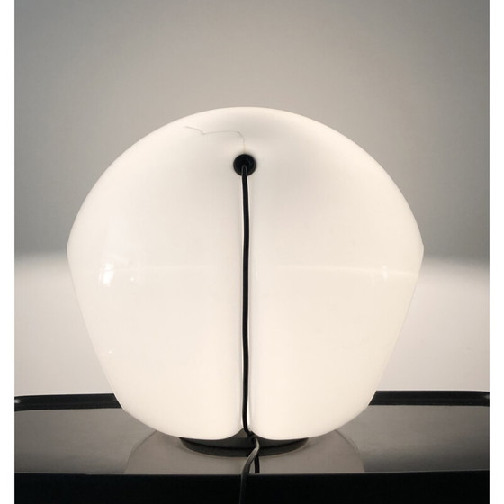 Image 1 of Foglia vintage lamp