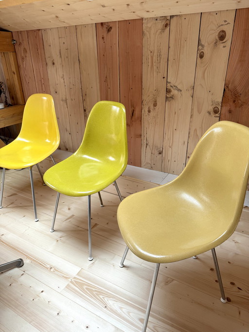 1 tot 8 Eames Dsx Original Fibre Chairs Editions Herman Miller