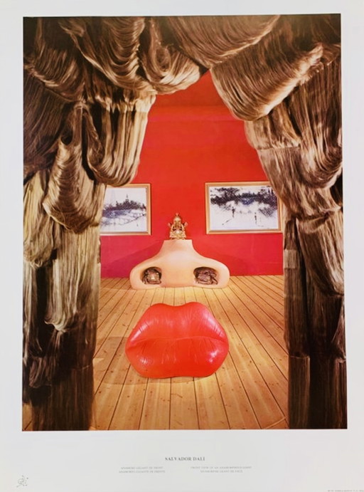 Salvador Dalí: “Front View of an Anamorphous Giant”