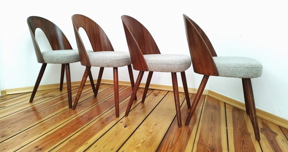 Image 1 of Een set van vier stoelen, ontworpen door A. Suman, Tatra Nabytok, Tsjecho-Slowakije, 60S