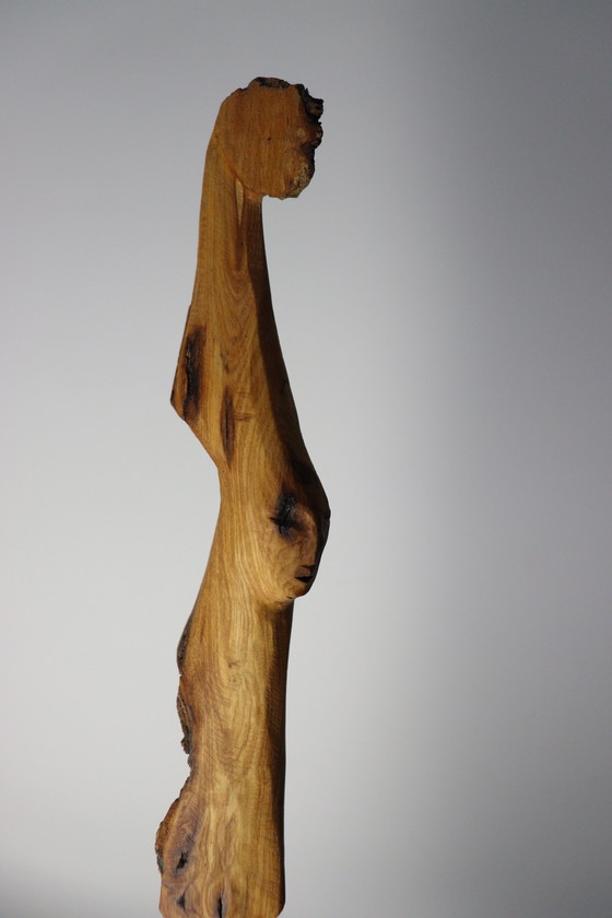 Image 1 of Overzicht