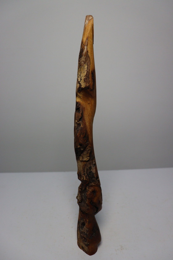 Image 1 of Overzicht