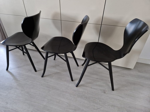 3x Linteloo Tulipani Stoelen