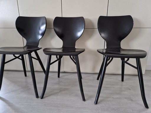 3x Linteloo Tulipani Stoelen