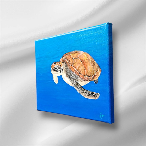 Image 1 of Acrylverf Schilderij Schildpad 24X30 Cm