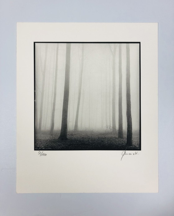 Image 1 of Ralph Janowski - Fotoprint