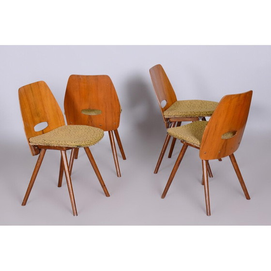 Image 1 of Set van 4 vintage walnoten stoelen van Frantisek Jirak voor Tatra Nabytok, Tsjechië 1950