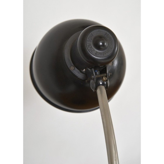 Image 1 of Vintage bureaulamp in bakeliet en geborsteld staal voor Helion Veb Leuchtenbau, Duitsland 1950