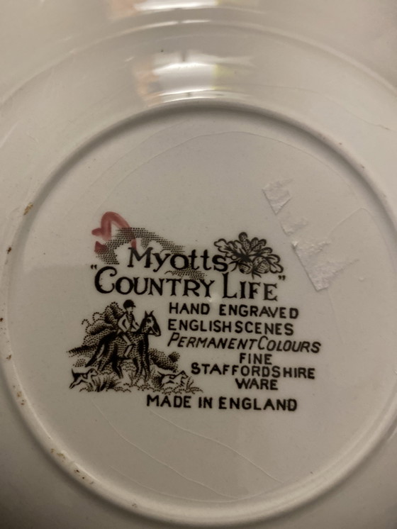 Image 1 of 60S Myotts Countrylife Staffordshire Handbeschilderd