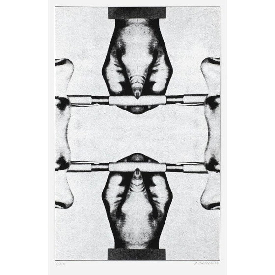 Image 1 of Vintage zeefdruk "paralells" door Roman Cieslewicz, 1974