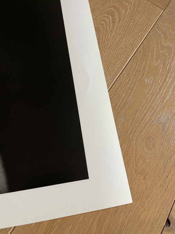 Image 1 of Michiel Ibelings, Monique, 1981 Gedrukt in Nederland nr. 276