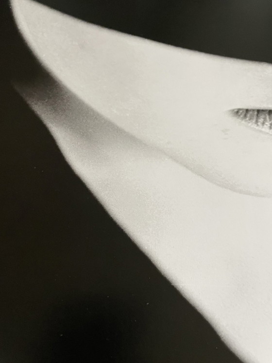 Image 1 of Michiel Ibelings, Monique, 1981 Gedrukt in Nederland nr. 276