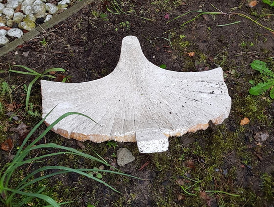 Image 1 of Gegoten betonnen tuindecoratie met gingko bladeren